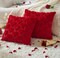 Set of 2 Valentine's Day Pillow Covers - 18x18 Inch Red Heart Plush Faux Fur Jacquard Throw Pillows for Sofa & Bedroom Decor
